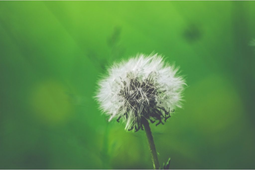 photo_prevenir_allergies